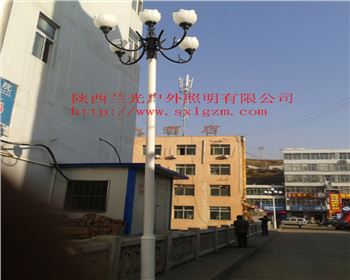 甘肅中華燈-陜北道路照明項(xiàng)目