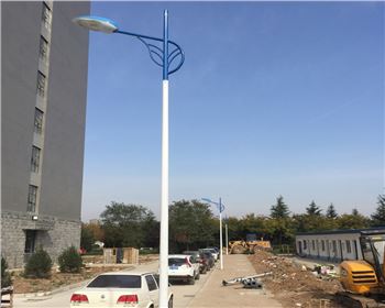 甘肅市電路燈-甘肅省西安市西北大學長安校區路燈工程