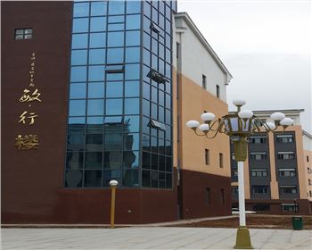 青海學校庭院景觀燈-青海省寶雞高新一中路燈工程