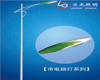 甘肅6米市電路燈