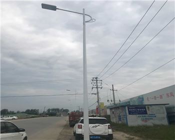 甘肅漢中市城固縣上元觀街道路燈照明項(xiàng)目